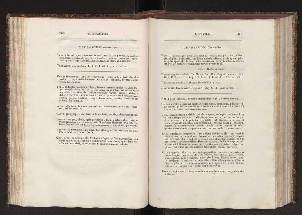 Phytographia lusitaniae selectior, seu novarum rariorum, et aliarum minus cognitarum stirpium, quae in Lusitania sponte' veniunt, ejusdemque floram spectant, descriptiones iconibus illustratae. Vol. 2 86