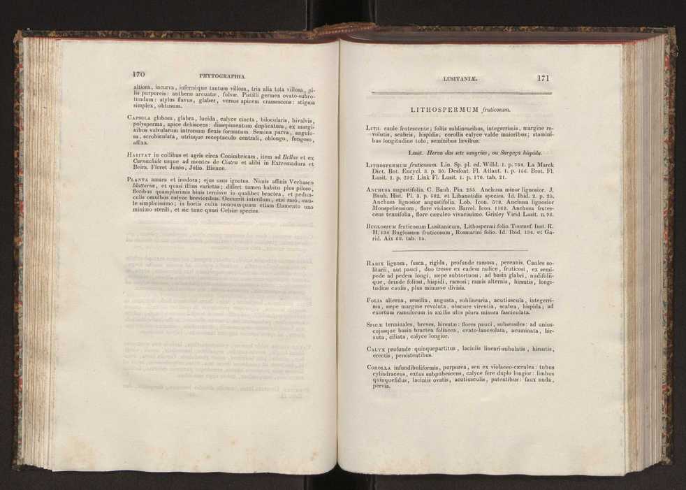 Phytographia lusitaniae selectior, seu novarum rariorum, et aliarum minus cognitarum stirpium, quae in Lusitania sponte' veniunt, ejusdemque floram spectant, descriptiones iconibus illustratae. Vol. 2 87