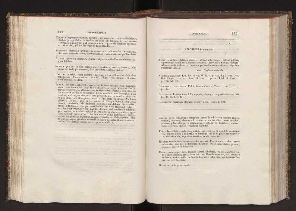 Phytographia lusitaniae selectior, seu novarum rariorum, et aliarum minus cognitarum stirpium, quae in Lusitania sponte' veniunt, ejusdemque floram spectant, descriptiones iconibus illustratae. Vol. 2 89