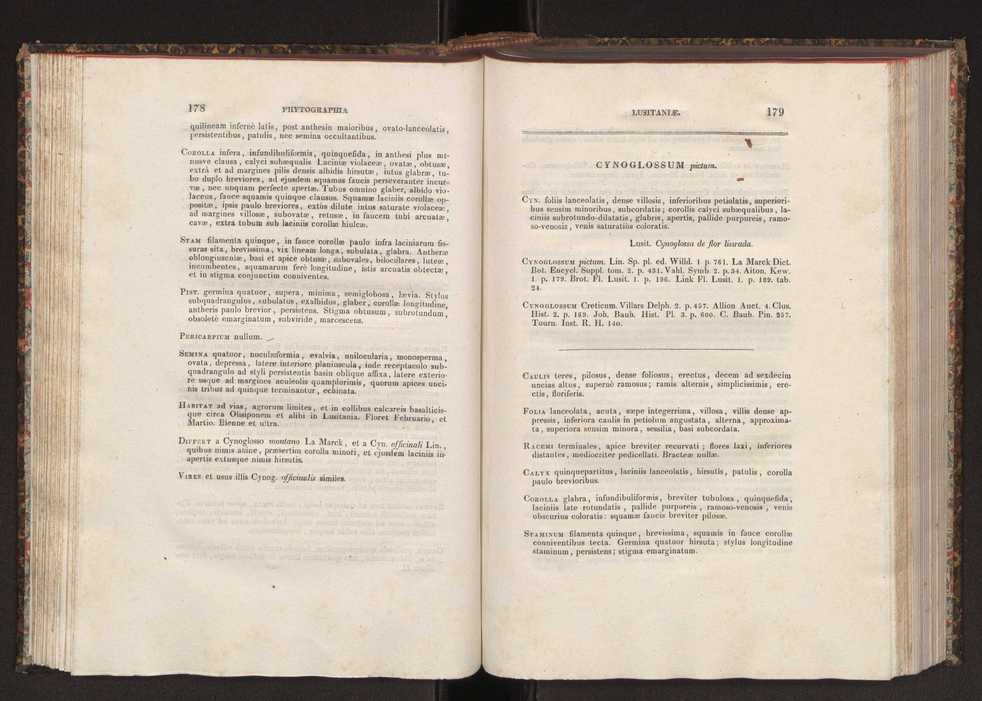 Phytographia lusitaniae selectior, seu novarum rariorum, et aliarum minus cognitarum stirpium, quae in Lusitania sponte' veniunt, ejusdemque floram spectant, descriptiones iconibus illustratae. Vol. 2 91