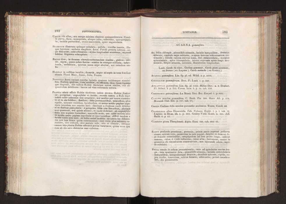 Phytographia lusitaniae selectior, seu novarum rariorum, et aliarum minus cognitarum stirpium, quae in Lusitania sponte' veniunt, ejusdemque floram spectant, descriptiones iconibus illustratae. Vol. 2 93