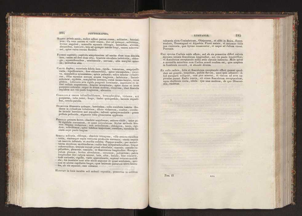 Phytographia lusitaniae selectior, seu novarum rariorum, et aliarum minus cognitarum stirpium, quae in Lusitania sponte' veniunt, ejusdemque floram spectant, descriptiones iconibus illustratae. Vol. 2 94