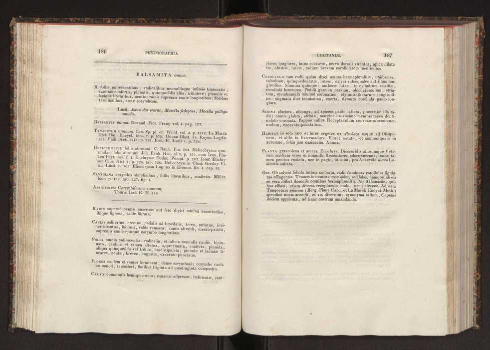 Phytographia lusitaniae selectior, seu novarum rariorum, et aliarum minus cognitarum stirpium, quae in Lusitania sponte' veniunt, ejusdemque floram spectant, descriptiones iconibus illustratae. Vol. 2 95