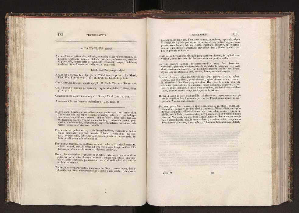 Phytographia lusitaniae selectior, seu novarum rariorum, et aliarum minus cognitarum stirpium, quae in Lusitania sponte' veniunt, ejusdemque floram spectant, descriptiones iconibus illustratae. Vol. 2 96