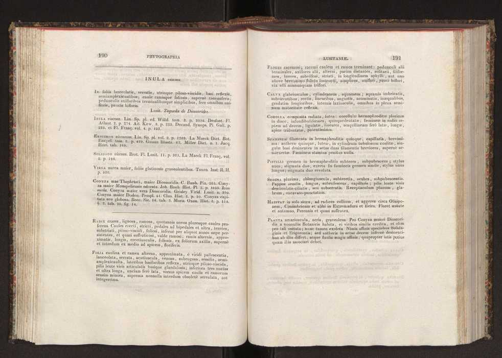 Phytographia lusitaniae selectior, seu novarum rariorum, et aliarum minus cognitarum stirpium, quae in Lusitania sponte' veniunt, ejusdemque floram spectant, descriptiones iconibus illustratae. Vol. 2 97