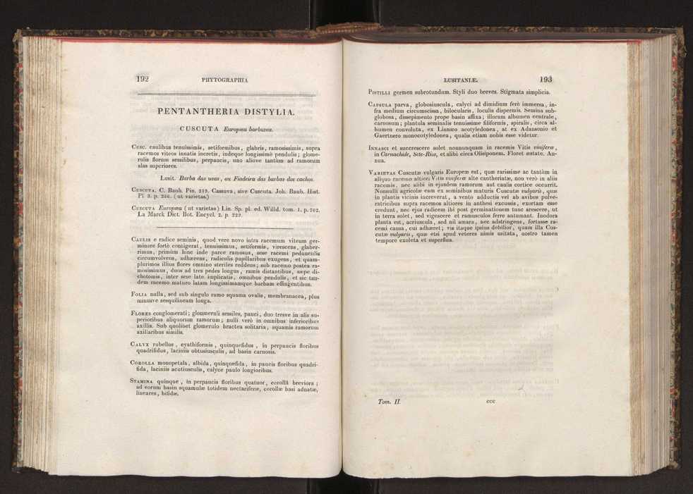 Phytographia lusitaniae selectior, seu novarum rariorum, et aliarum minus cognitarum stirpium, quae in Lusitania sponte' veniunt, ejusdemque floram spectant, descriptiones iconibus illustratae. Vol. 2 98