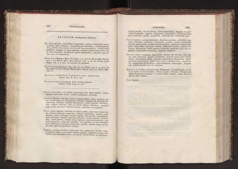 Phytographia lusitaniae selectior, seu novarum rariorum, et aliarum minus cognitarum stirpium, quae in Lusitania sponte' veniunt, ejusdemque floram spectant, descriptiones iconibus illustratae. Vol. 2 99