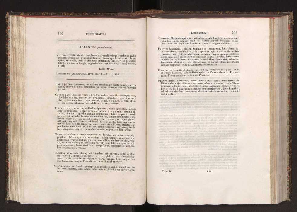 Phytographia lusitaniae selectior, seu novarum rariorum, et aliarum minus cognitarum stirpium, quae in Lusitania sponte' veniunt, ejusdemque floram spectant, descriptiones iconibus illustratae. Vol. 2 100