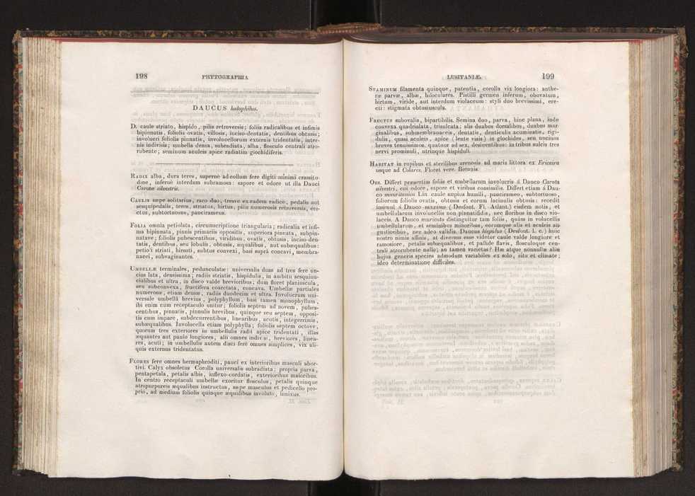 Phytographia lusitaniae selectior, seu novarum rariorum, et aliarum minus cognitarum stirpium, quae in Lusitania sponte' veniunt, ejusdemque floram spectant, descriptiones iconibus illustratae. Vol. 2 101