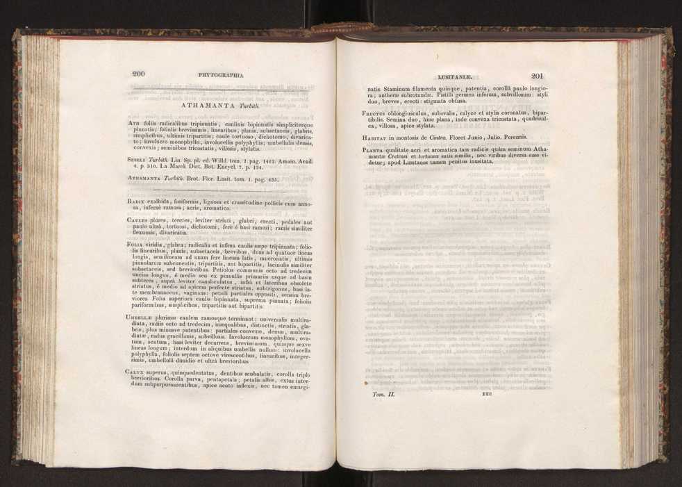 Phytographia lusitaniae selectior, seu novarum rariorum, et aliarum minus cognitarum stirpium, quae in Lusitania sponte' veniunt, ejusdemque floram spectant, descriptiones iconibus illustratae. Vol. 2 102