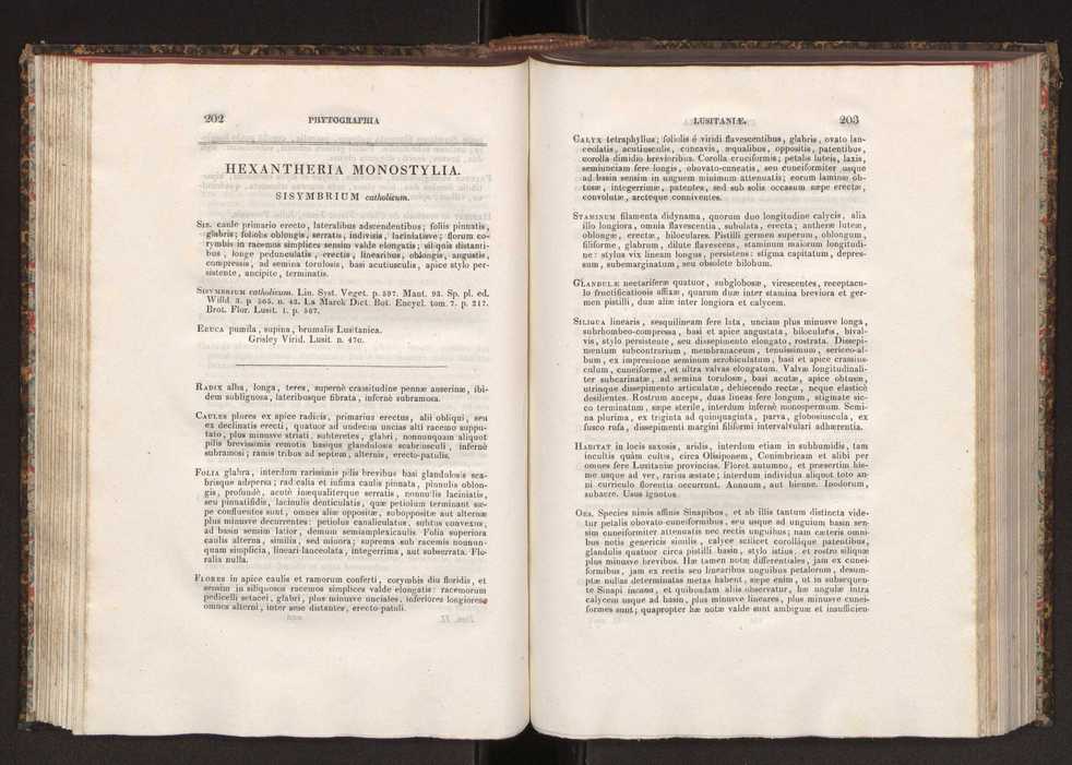 Phytographia lusitaniae selectior, seu novarum rariorum, et aliarum minus cognitarum stirpium, quae in Lusitania sponte' veniunt, ejusdemque floram spectant, descriptiones iconibus illustratae. Vol. 2 103
