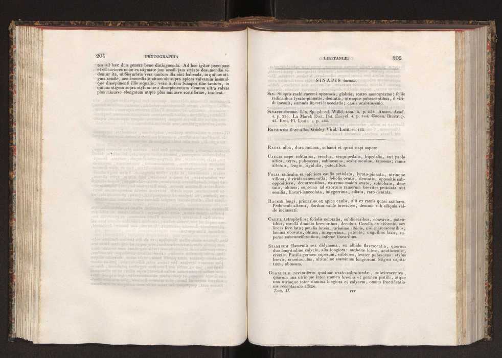 Phytographia lusitaniae selectior, seu novarum rariorum, et aliarum minus cognitarum stirpium, quae in Lusitania sponte' veniunt, ejusdemque floram spectant, descriptiones iconibus illustratae. Vol. 2 104