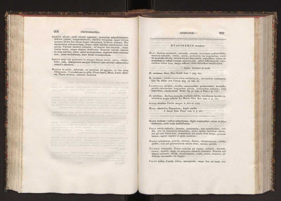 Phytographia lusitaniae selectior, seu novarum rariorum, et aliarum minus cognitarum stirpium, quae in Lusitania sponte' veniunt, ejusdemque floram spectant, descriptiones iconibus illustratae. Vol. 2 105