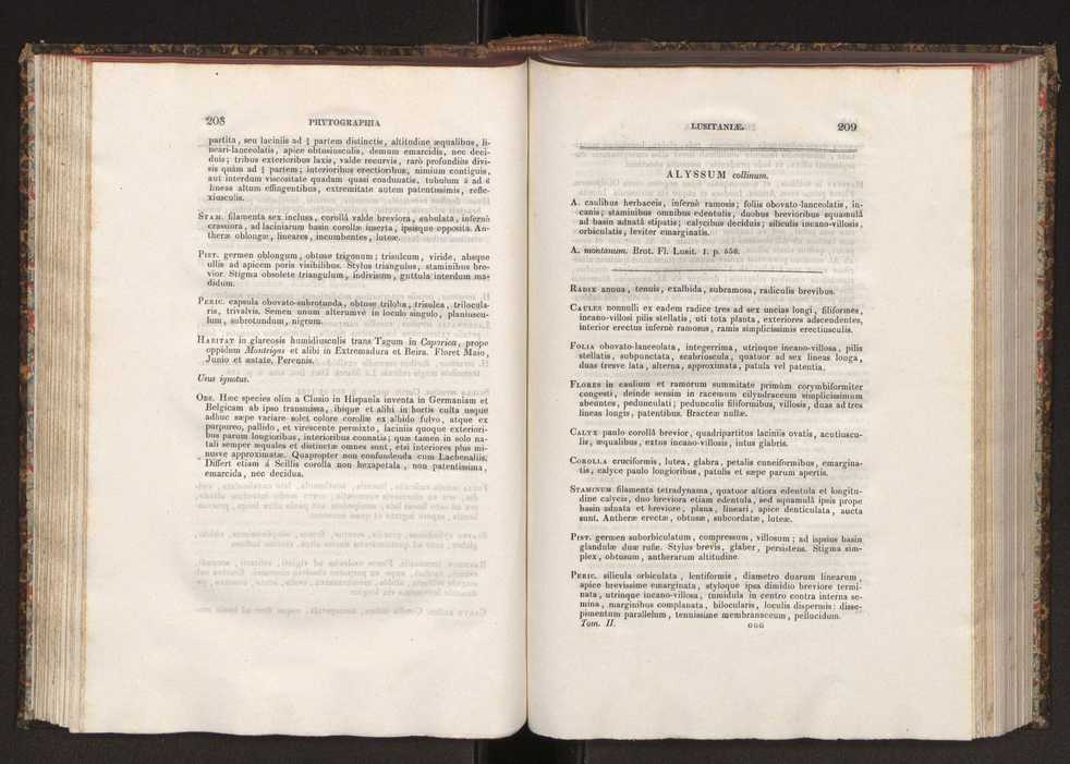 Phytographia lusitaniae selectior, seu novarum rariorum, et aliarum minus cognitarum stirpium, quae in Lusitania sponte' veniunt, ejusdemque floram spectant, descriptiones iconibus illustratae. Vol. 2 106