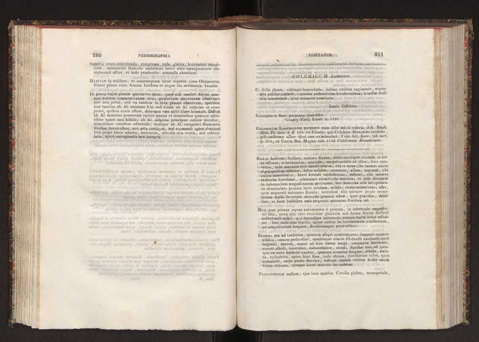 Phytographia lusitaniae selectior, seu novarum rariorum, et aliarum minus cognitarum stirpium, quae in Lusitania sponte' veniunt, ejusdemque floram spectant, descriptiones iconibus illustratae. Vol. 2 107