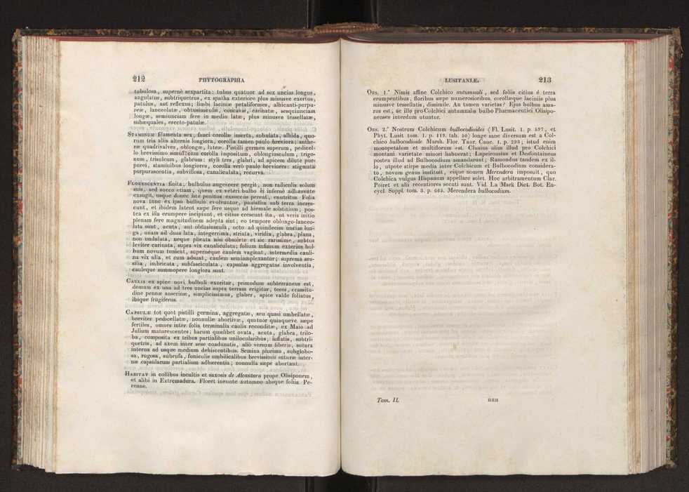 Phytographia lusitaniae selectior, seu novarum rariorum, et aliarum minus cognitarum stirpium, quae in Lusitania sponte' veniunt, ejusdemque floram spectant, descriptiones iconibus illustratae. Vol. 2 108