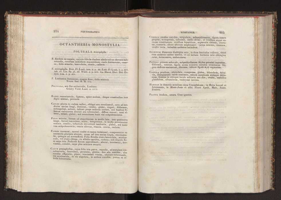Phytographia lusitaniae selectior, seu novarum rariorum, et aliarum minus cognitarum stirpium, quae in Lusitania sponte' veniunt, ejusdemque floram spectant, descriptiones iconibus illustratae. Vol. 2 109