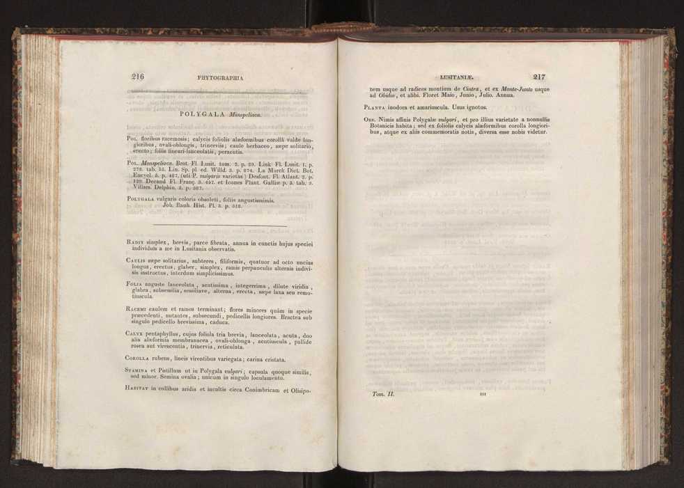 Phytographia lusitaniae selectior, seu novarum rariorum, et aliarum minus cognitarum stirpium, quae in Lusitania sponte' veniunt, ejusdemque floram spectant, descriptiones iconibus illustratae. Vol. 2 110