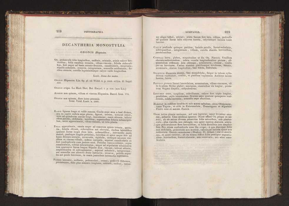 Phytographia lusitaniae selectior, seu novarum rariorum, et aliarum minus cognitarum stirpium, quae in Lusitania sponte' veniunt, ejusdemque floram spectant, descriptiones iconibus illustratae. Vol. 2 111