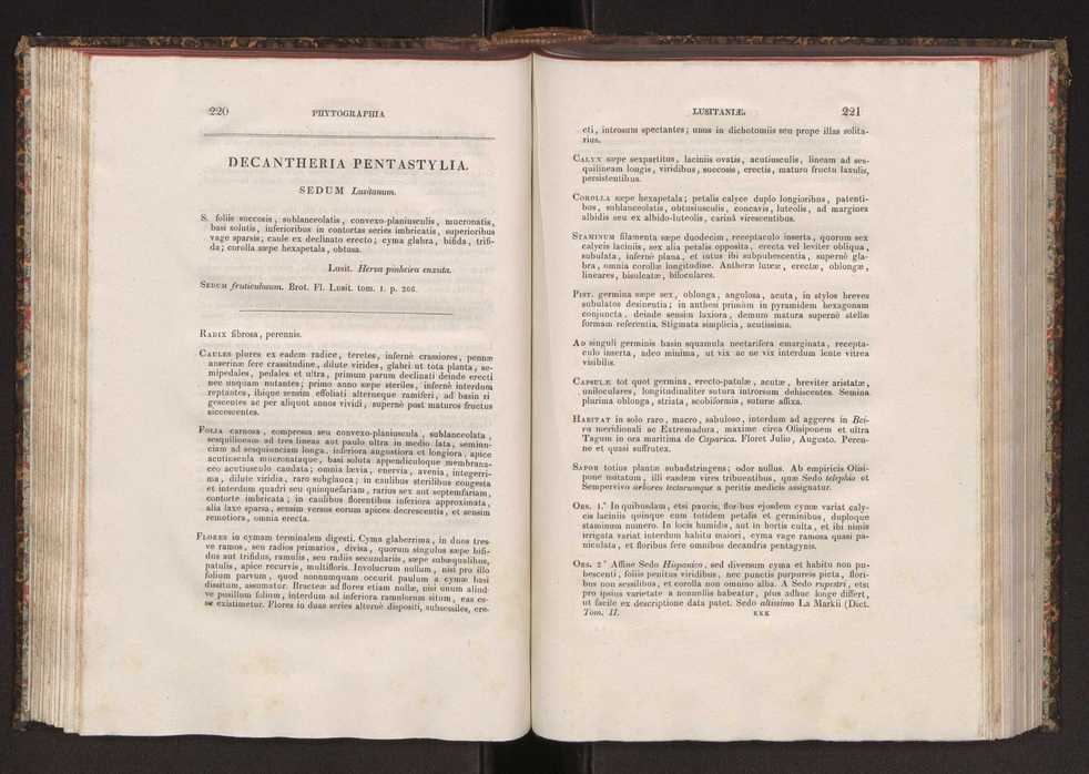 Phytographia lusitaniae selectior, seu novarum rariorum, et aliarum minus cognitarum stirpium, quae in Lusitania sponte' veniunt, ejusdemque floram spectant, descriptiones iconibus illustratae. Vol. 2 112