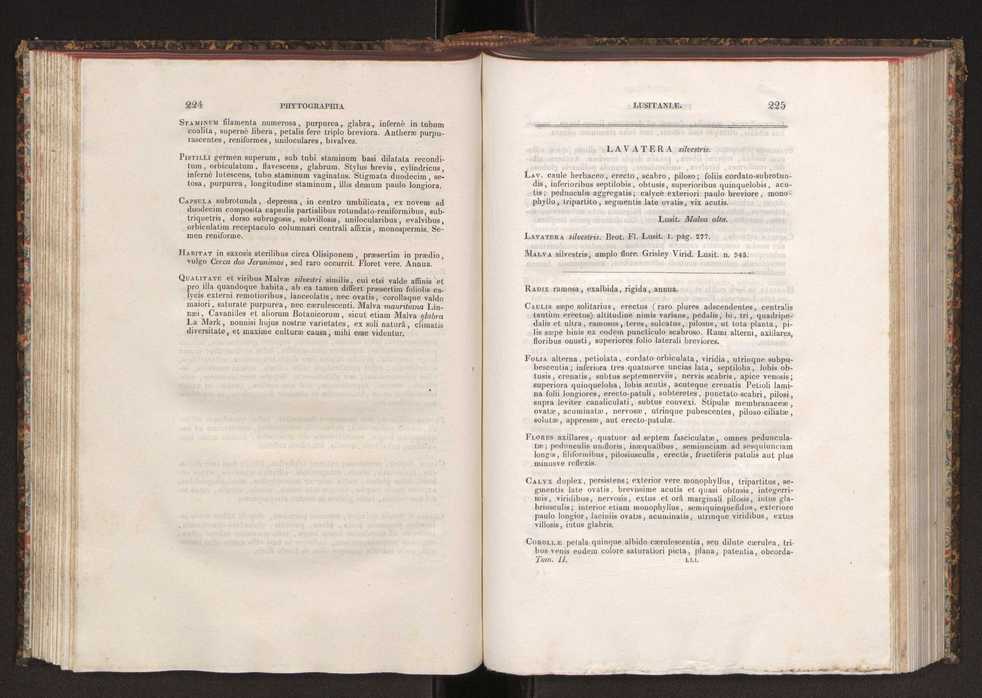 Phytographia lusitaniae selectior, seu novarum rariorum, et aliarum minus cognitarum stirpium, quae in Lusitania sponte' veniunt, ejusdemque floram spectant, descriptiones iconibus illustratae. Vol. 2 114