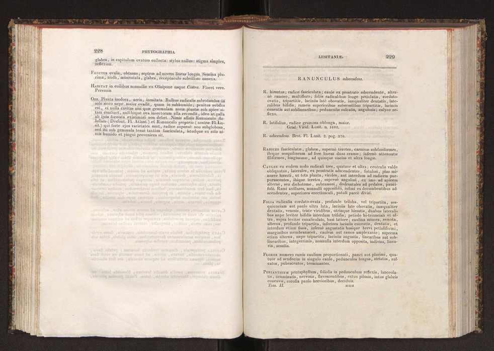 Phytographia lusitaniae selectior, seu novarum rariorum, et aliarum minus cognitarum stirpium, quae in Lusitania sponte' veniunt, ejusdemque floram spectant, descriptiones iconibus illustratae. Vol. 2 116