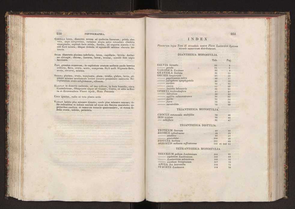 Phytographia lusitaniae selectior, seu novarum rariorum, et aliarum minus cognitarum stirpium, quae in Lusitania sponte' veniunt, ejusdemque floram spectant, descriptiones iconibus illustratae. Vol. 2 117