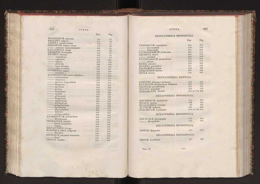 Phytographia lusitaniae selectior, seu novarum rariorum, et aliarum minus cognitarum stirpium, quae in Lusitania sponte' veniunt, ejusdemque floram spectant, descriptiones iconibus illustratae. Vol. 2 118