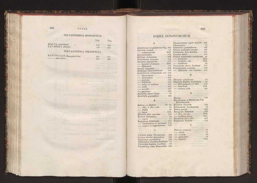 Phytographia lusitaniae selectior, seu novarum rariorum, et aliarum minus cognitarum stirpium, quae in Lusitania sponte' veniunt, ejusdemque floram spectant, descriptiones iconibus illustratae. Vol. 2 119