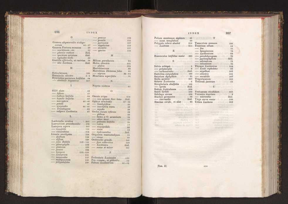 Phytographia lusitaniae selectior, seu novarum rariorum, et aliarum minus cognitarum stirpium, quae in Lusitania sponte' veniunt, ejusdemque floram spectant, descriptiones iconibus illustratae. Vol. 2 120
