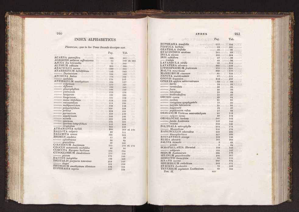 Phytographia lusitaniae selectior, seu novarum rariorum, et aliarum minus cognitarum stirpium, quae in Lusitania sponte' veniunt, ejusdemque floram spectant, descriptiones iconibus illustratae. Vol. 2 122