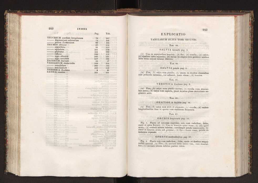 Phytographia lusitaniae selectior, seu novarum rariorum, et aliarum minus cognitarum stirpium, quae in Lusitania sponte' veniunt, ejusdemque floram spectant, descriptiones iconibus illustratae. Vol. 2 123