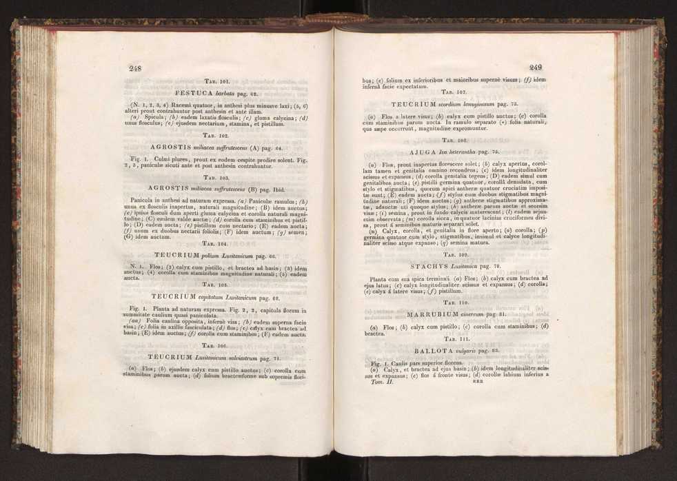 Phytographia lusitaniae selectior, seu novarum rariorum, et aliarum minus cognitarum stirpium, quae in Lusitania sponte' veniunt, ejusdemque floram spectant, descriptiones iconibus illustratae. Vol. 2 126
