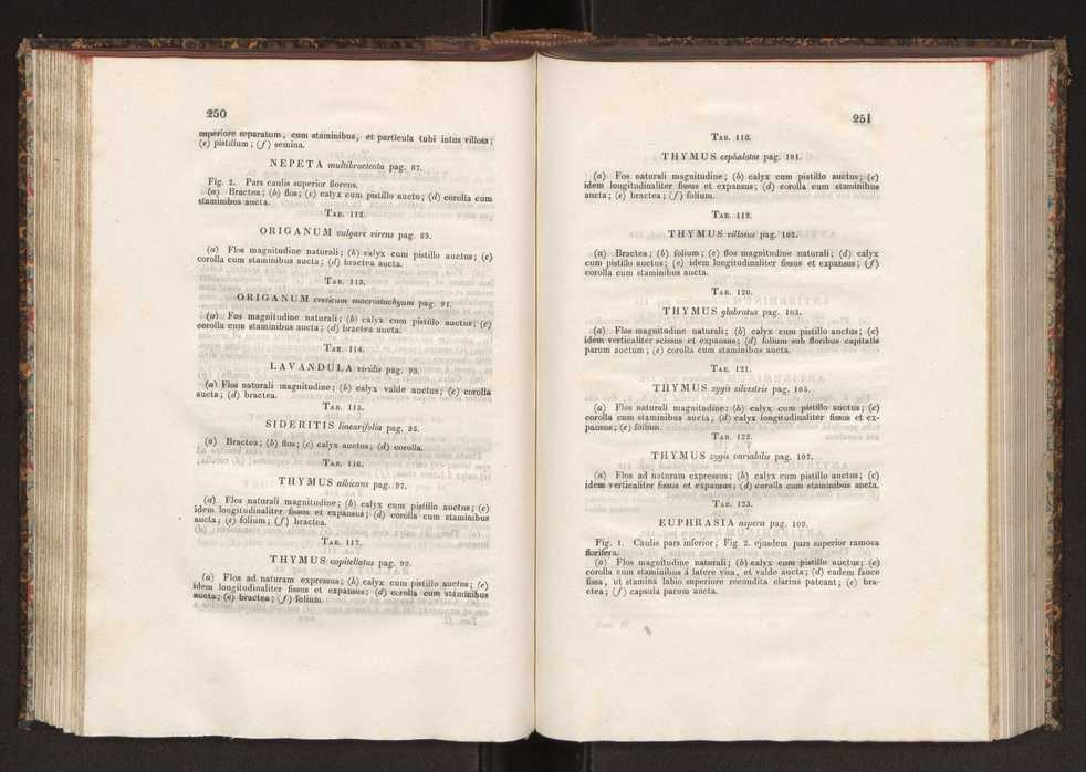 Phytographia lusitaniae selectior, seu novarum rariorum, et aliarum minus cognitarum stirpium, quae in Lusitania sponte' veniunt, ejusdemque floram spectant, descriptiones iconibus illustratae. Vol. 2 127