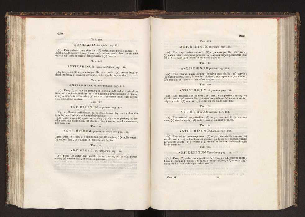Phytographia lusitaniae selectior, seu novarum rariorum, et aliarum minus cognitarum stirpium, quae in Lusitania sponte' veniunt, ejusdemque floram spectant, descriptiones iconibus illustratae. Vol. 2 128