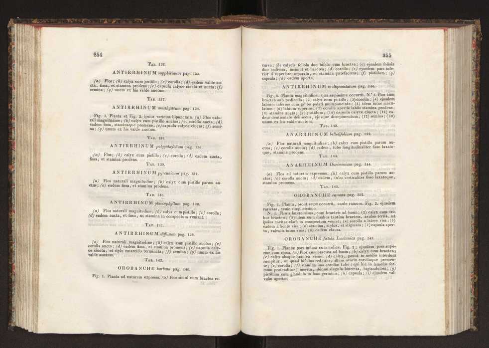 Phytographia lusitaniae selectior, seu novarum rariorum, et aliarum minus cognitarum stirpium, quae in Lusitania sponte' veniunt, ejusdemque floram spectant, descriptiones iconibus illustratae. Vol. 2 129