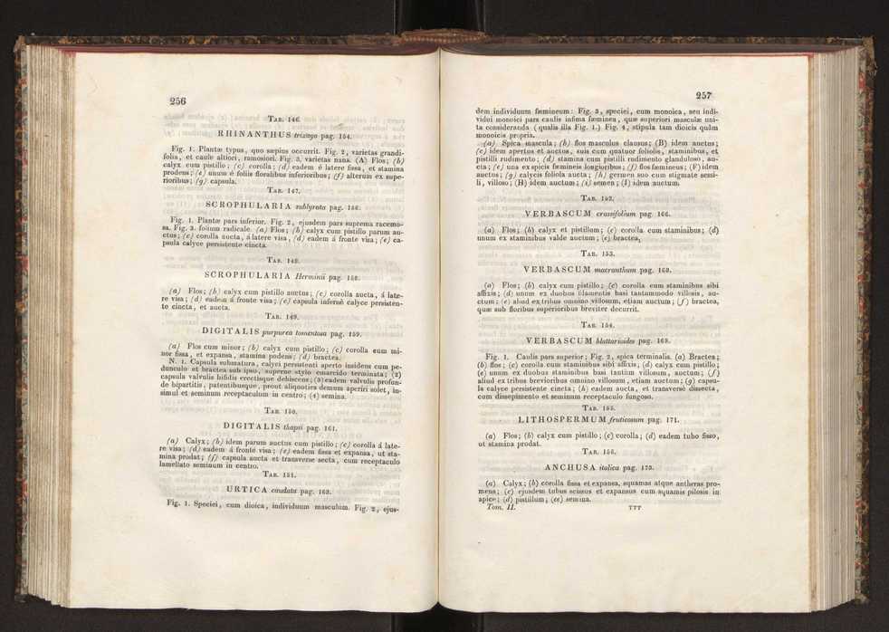 Phytographia lusitaniae selectior, seu novarum rariorum, et aliarum minus cognitarum stirpium, quae in Lusitania sponte' veniunt, ejusdemque floram spectant, descriptiones iconibus illustratae. Vol. 2 130