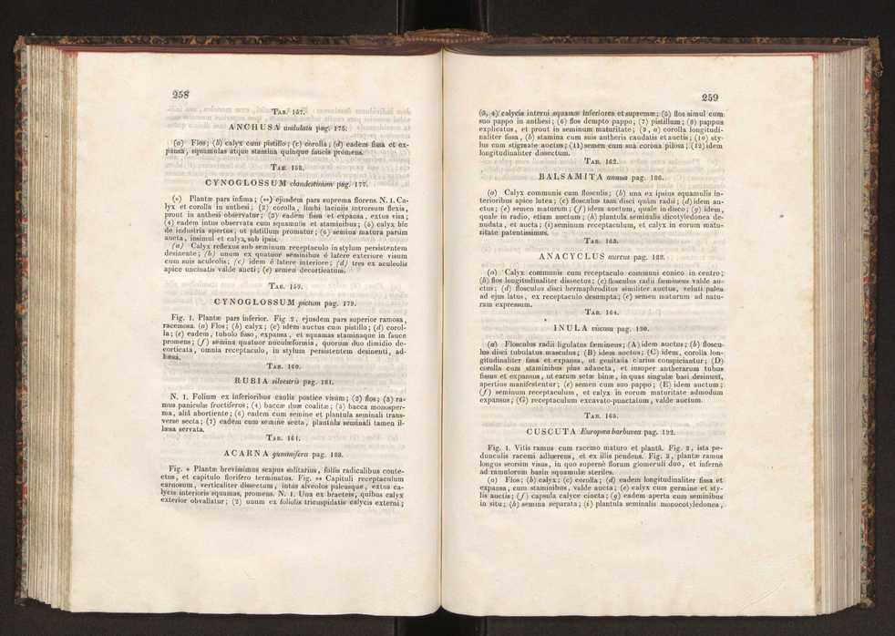 Phytographia lusitaniae selectior, seu novarum rariorum, et aliarum minus cognitarum stirpium, quae in Lusitania sponte' veniunt, ejusdemque floram spectant, descriptiones iconibus illustratae. Vol. 2 131