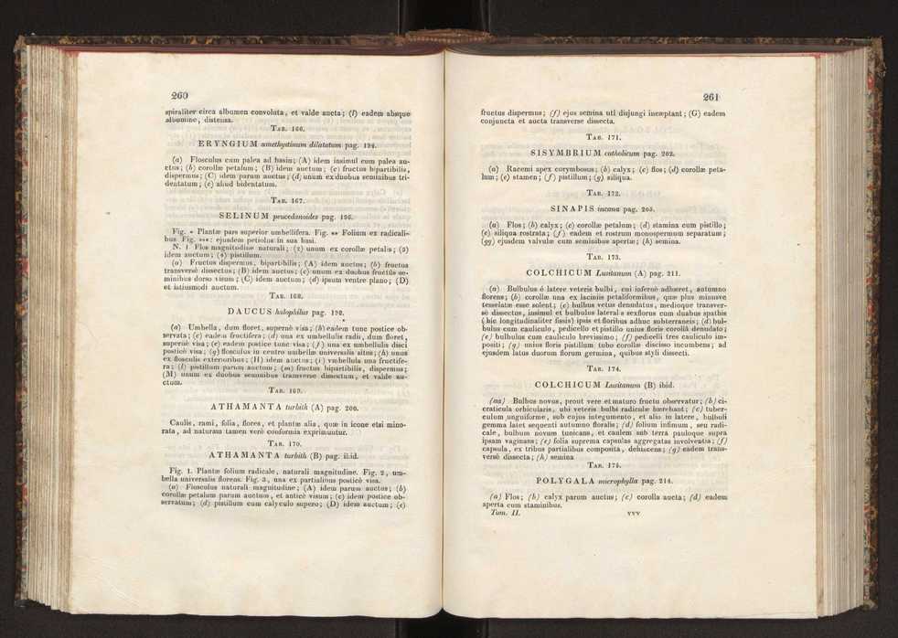 Phytographia lusitaniae selectior, seu novarum rariorum, et aliarum minus cognitarum stirpium, quae in Lusitania sponte' veniunt, ejusdemque floram spectant, descriptiones iconibus illustratae. Vol. 2 132