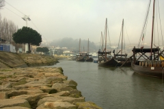 Fotos-do-Porto_by_CRG_-14