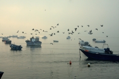 Fotos-do-Porto_by_CRG_-16
