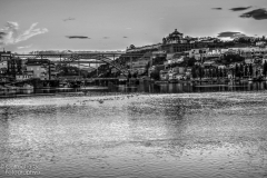 Fotos-do-Porto_by_CRG_-6