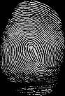 fingerprint