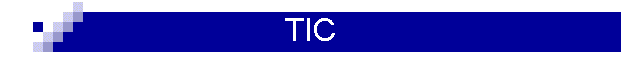 TIC