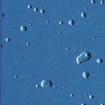 6nm nanoparticles